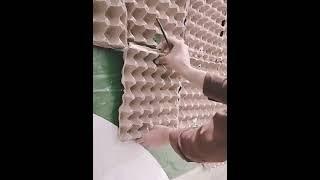 very cheap soundproofing with egg  trays amazing 