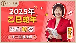 麦玲玲师傅详解2025蛇年运程：生肖蛇！事业运、财运、人际关系、爱情、婚姻、健康全解析！