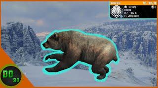 We Found Something Special On Medved Taiga! Call Of The Wild