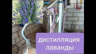 Дистиллятор эфирных масел. Чтобы приобрести +380994232726. Процесс получения лавандового масла.