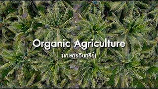 Regenerative Coconut Agriculture - Beyond Organic [FULL]