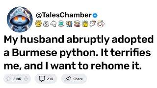 [FULL STORY] My husband abruptly adopted a Burmese python. It terrifies me, and I want to rehome it.