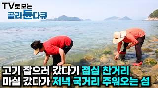 1년 365일 배고플 걱정 없다. 산책 갔다가 싱싱한 놈들 건져오는 바다 사람들 1시간 몰아보기｜한국기행｜#tv로보는골라듄다큐