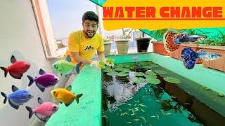 Finally fish pond ka water change ho gya #fishpetsvlog