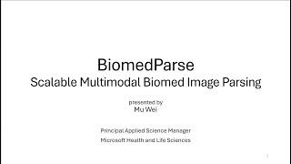 BiomedParse: Biomedical Image Parsing for Everything Everywhere All At Once | Mu Wei