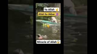 Allah hu Akbar|️|Miracle of Allah ️||#namaz #inspiration #islam #gesi baglari #shorts