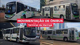 MOVIMENTAÇÃO de ÔNIBUS no TERMINAL de MARINGÁ