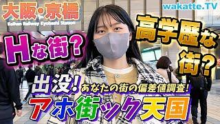 高学歴から底辺まで勢揃い！大阪・京橋でアホ街ック天国！【wakatte TV】#707