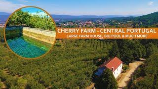 TURN KEY CHERRY FARM FOR SALE, AMAZING INVESTMENT OPPORTUNITY - CENTRAL PORTUGAL - FUNDAO