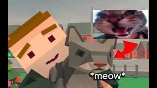 The cat MEOWS into the door camera, but it's SIMPLE SANDBOX 2 (no)