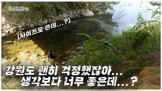 배스 피딩도 장난 아니고 강원도가 이렇게 좋은 곳이었나요?(feat. 박성완 )