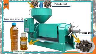 500kg per hour palm kernel oil expeller machine, palm kernel oil extractor machine working video