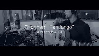 "Northern fandango" - Joonas Widenius Trio at Varistoteles Studios 2019