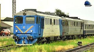 Locomotivele Sătmărence 60-1213-7 & 60-1228-5 in Gara Oradea Station - 28 Iunie 2024