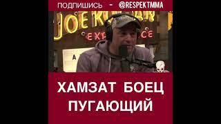 Джо Роган на подкасте про Хамзата Чимаева