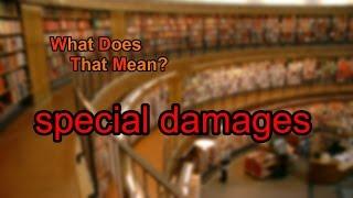 What does special damages mean?