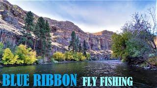 Yakima River Canyon Fly Fishing - Washington State's only Blue Ribbon Trout Stream #flyfishing