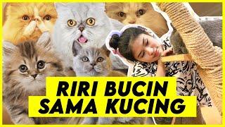 CITA - CITA RIRI PENGEN PUNYA SHELTER | RIRIMOEYA