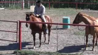 Natural Horsemanship with Glenn Stewart - Highlight Video