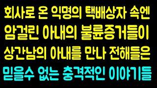 택배상자속 암걸린 아내의 불륜증거와 상간남의 아내에게 전해들은 충격적인 이야기들 - 라디오드라마 사연읽어주는남자 442사연