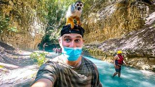 Trying A Carnival Mardi Gras Excursion In Amber Cove Dominican Republic | Waterfalls and Monkeys!