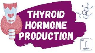 Thyroid Hormone Production EXPLAINED | thyroidglobulin, iodine uptake, thyroid peroxidase