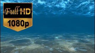 Underwater Background Video HD - Amazing Underwater Sea Video