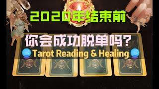 【红色莉莉周塔罗占卜】2020年结束前，你能否成功的脱单？Pick A Card