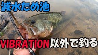 【バス釣り】減水ため池をバイブレーション以外で釣る【岡山/野池】