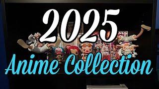 My 2025 Anime Collection Tour