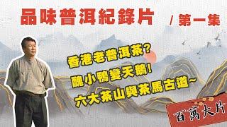 普洱一文不值到價值連城?! / 台灣茶商挺進雲南?! 【品味普洱紀錄片】/ 第一集