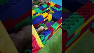 Wiggles Waggles and Waffles have a Dog Obstacle Course Race #FamilyFun #FunnyDogs #ObstacleCourse