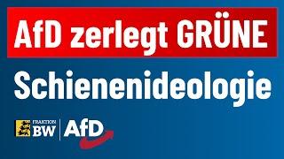 AfD zerlegt GRÜNE Schienenideologie!