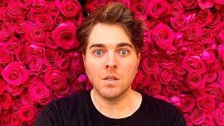 Shane Dawson's Trashfire Makeup Documentary