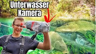 Die krassesten Unterwasser Livebisse (Compilation)!!!