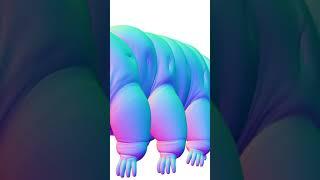 Fascinating Tardigrade Facts You Never Knew