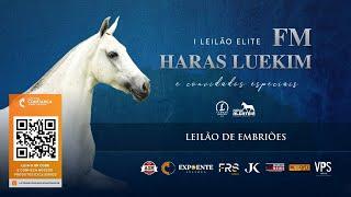 Leilão de Embriões - I Leilão Elite Haras Luekim