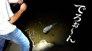 道で拾ったエサで巨大魚を釣る
