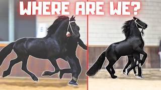 Where are we going with Teije Rein? | The sheep is attacking me! | Friesian Horses