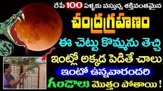 రేపే చంద్రగ్రహణం 100 ఏళ్ళకు వస్తుంది ఈ చెట్టు కొమ్మను తెచ్చి ఇంట్లో అక్కడ పెడితే ఇంట్లోవారికి శుభం