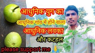 बैगन लेल बैगन !!  !! village lifestyle vlog hindi !! #boni village vlogs