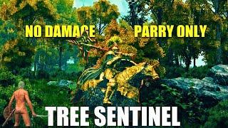 Elden Ring - Tree Sentinel Boss Fight (No Damage Solo) & Limgrave Location