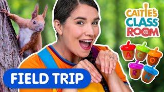 Let's Pretend To Be Squirrels! | Caitie's Classroom Field Trip | Learn & Play On An Epic Playground!