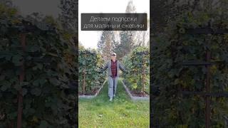 Подпорки для малины и ежевики #дача #сад #огород  #малина #ежевика #малоуходныйсад