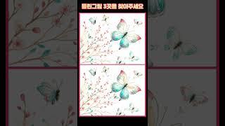 시니어 정보마당- 다른그림찾기(틀린그림찾기) - 나비
