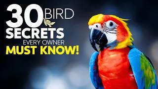 30 Bird Owner SECRETS You NEED to Know! 