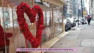 뉴욕 발렌타인데이 풍경 - Love is in the air  Valentine's day in New York