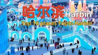 The 10 most interesting places in Harbin｜Visit Harbin, China｜Harbin Travel Guide