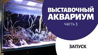 Выставочный аквариум 3. Запуск аквариума | Как запустить аквариум с внешним фильтром