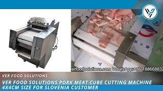 VER Food Solutions Pork Meat Cube Cutting Machine 4X4cm Size for Slovenia Customer